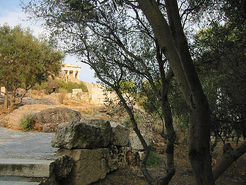 Fotos Wald | Athen