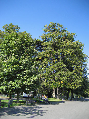 Foto Parkanlage - Genf