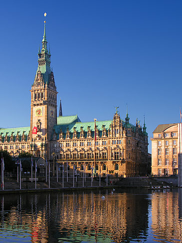 Rathaus Fotos