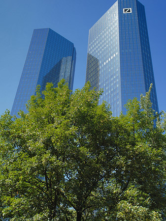 Deutsche Bank mit Bäumen Fotos