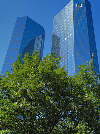 Fotos Deutsche Bank mit Bäumen | Frankfurt am Main