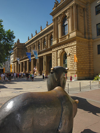 Bulle und Bär Fotos