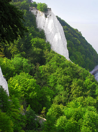 Königsstuhl Kreidefelsen Foto 