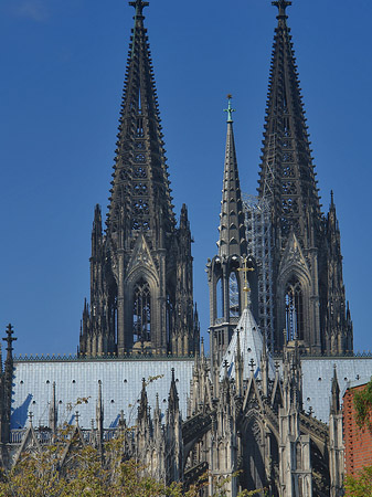 Fotos Steinmauer zum Kölner Dom | Köln