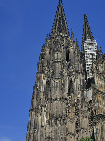 Foto Südportal des Kölner Doms
