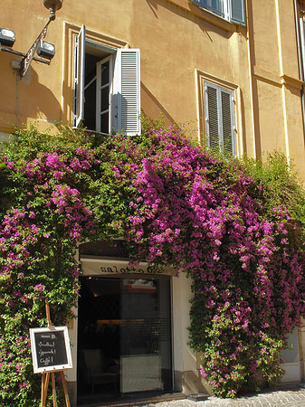 Foto Geschäft - Rom