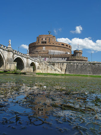 Tiber Foto 