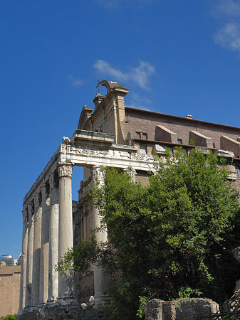 Tempel des Antoninus Pius und der Faustina