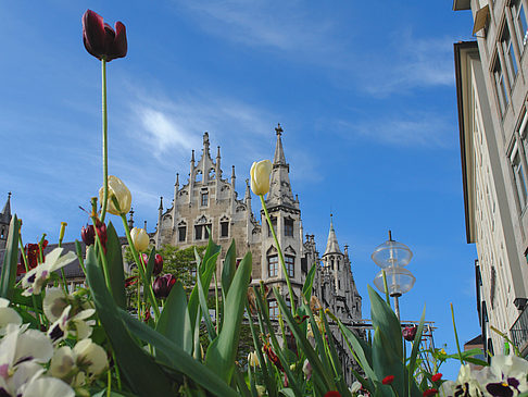 Fotos Neues Rathaus | München