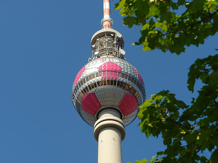 Fernsehturm und Bäume