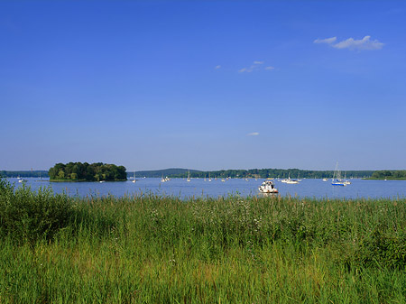 Ufer an der Pfaueninsel