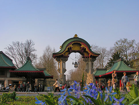 Eingang mit Wiese Fotos