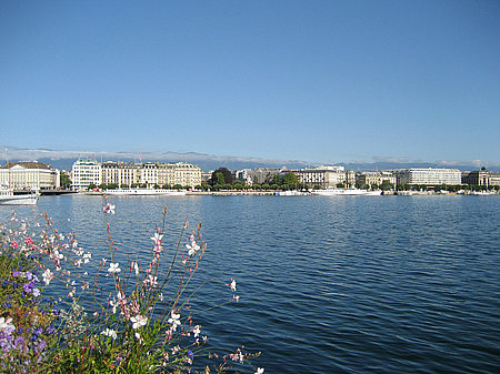 Genfer See Foto 