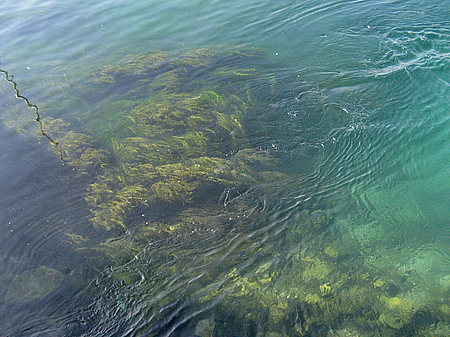 Foto Genfer See - Genf