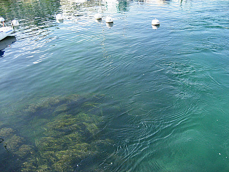 Genfer See