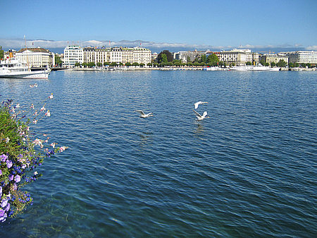 Genfer See