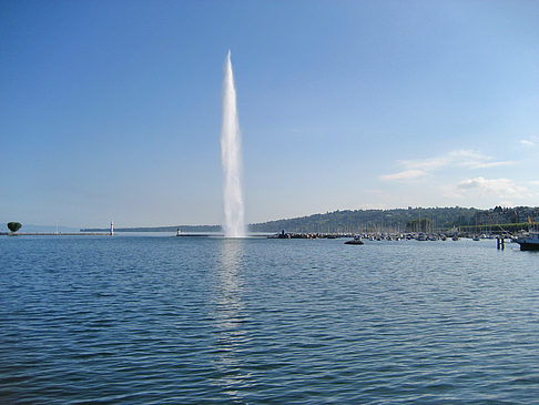 Foto Jet d'Eau - Genf