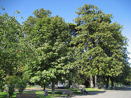 Parkanlage Fotos