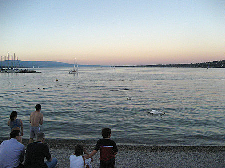 Ufer Foto 