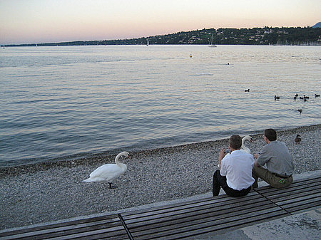 Foto Ufer