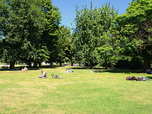 Altonaer Balkon - Liegewiese Fotos