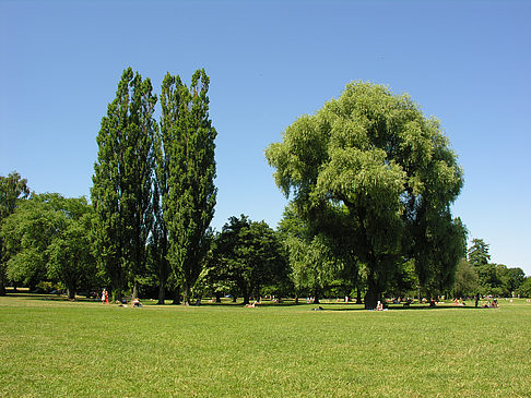 Fotos Altervorland | Hamburg