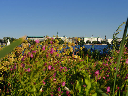 Foto Blick nach Osten von der Außenalster
