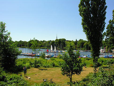 Bootsverleih und Hafen auf der Außenalster Foto 