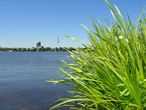 Foto Schöne Aussicht - Hamburg