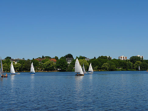 Foto Segelboote auf der Außenalster