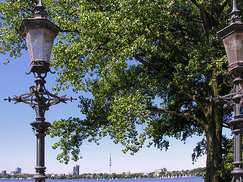 Foto Bäume und Laterne an der Binnenalster - Hamburg