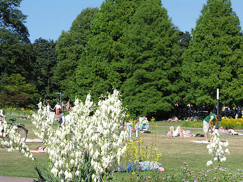 Planten un Blomen - Gärten Foto 