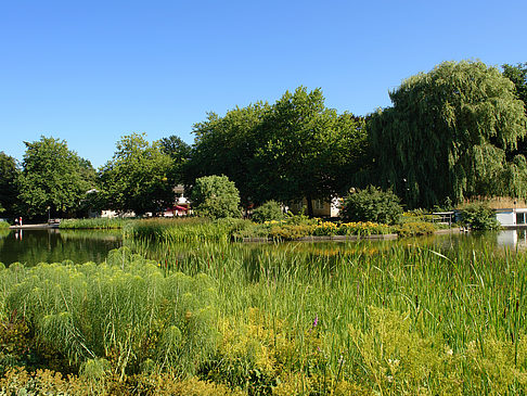 Foto Planten un Blomen - Wiese am Parksee - Hamburg