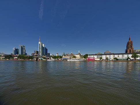 Blick über den Main Foto 