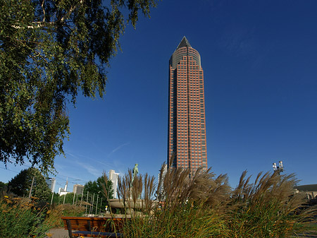 Messeturm auf Wiese Foto 