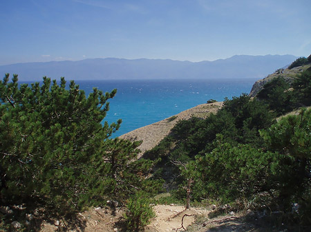 Landschaft