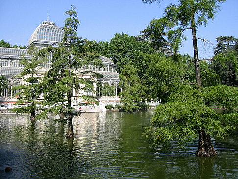 Foto Palacio de Cristal