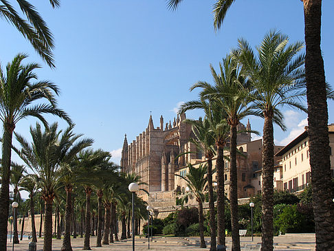 Fotos Die Kathedrale | Palma de Maljorka