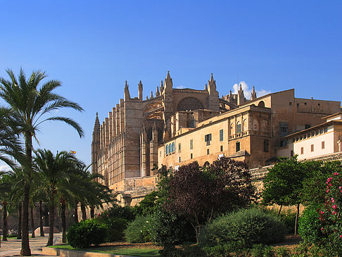 Fotos Die Kathedrale