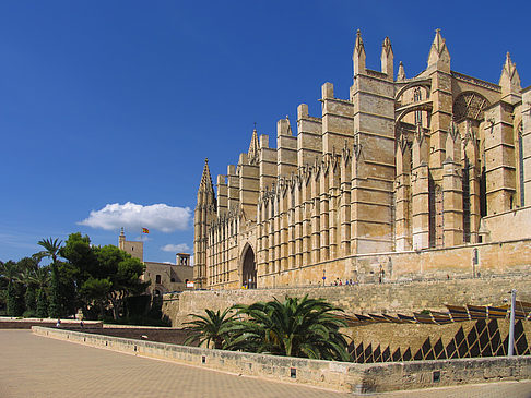 Foto Die Kathedrale - Palma de Maljorka