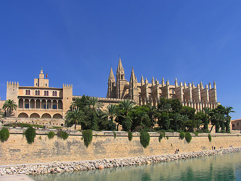 Fotos Die Kathedrale | Palma de Maljorka