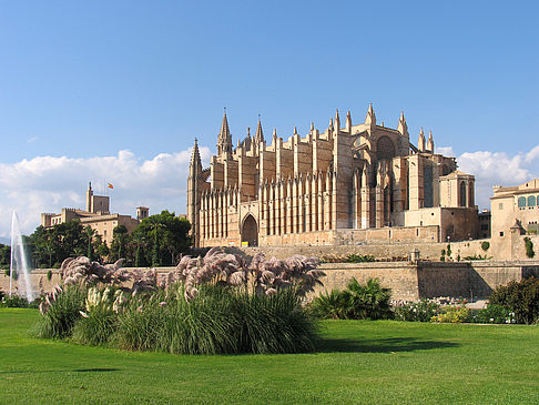 Die Kathedrale Fotos