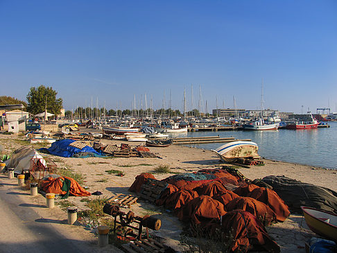Hafen von Palma Foto 