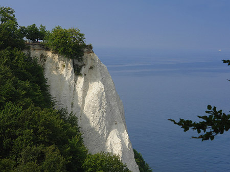 Königsstuhl Kreidefelsen