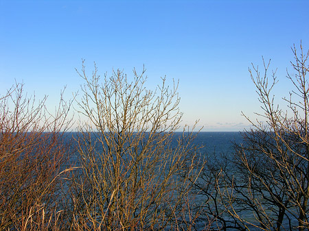 Fotos Wiese mit Meer | 