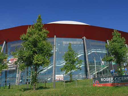 Kölnarena auf einer Wiese