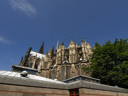 Kölner Dom mit Dombauhütte Foto 