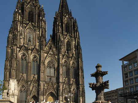 Fotos Kreuzblume vor Kölner Dom | Köln