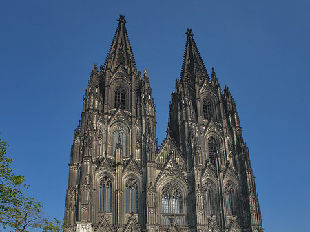 Foto Kreuzblume vor Kölner Dom - Köln