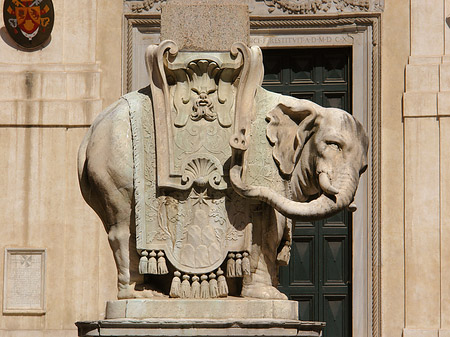 Elefant von Bernini Foto 